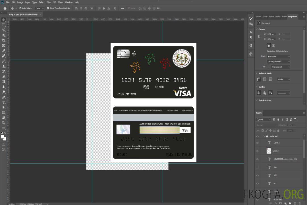 Carte visa de la banque nationale du Bhoutan template Carte visa de la banque nationale du Bhoutan template